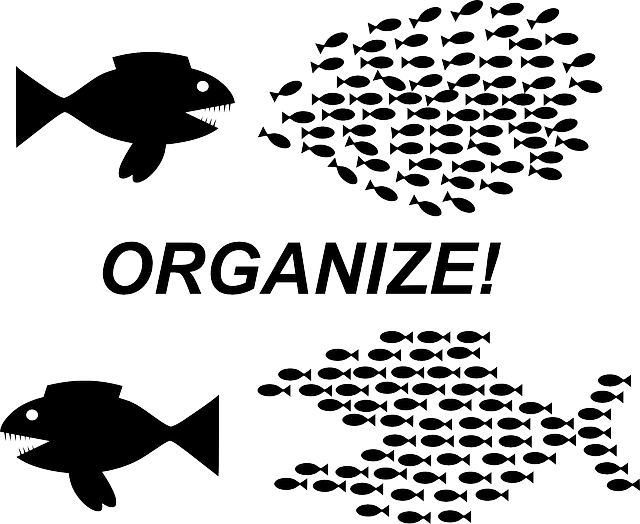 organize image